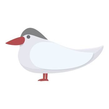 Polar bird icon cartoon vector. Arctic bird. Alaska wild. Polar bird icon cartoon vector. Arctic bird