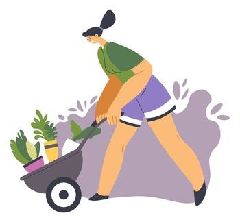 Female character gardening or working in farm, isolated woman with wheelbarrow and potted plants. Worker with flowers and foliage growing botany for selling in market or interior purpose, vector. Woman with wheelbarrow transporting plants vector