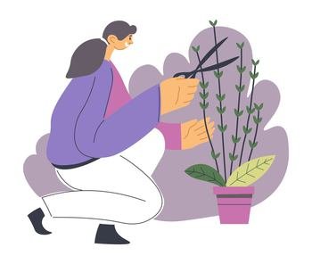 Female character caring for garden and foliage, woman with scissors cutting branches and twigs of bushy plant in pot. Florist shop or gardener tending orchard. Hobby of girl or leisure, vector. Woman gardening and trimming bushes of flower