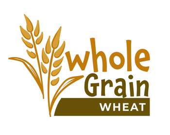 Organic and natural products and ingredients, isolated whole grain healthy food. Flour whole grain wheat, growth of agricultural meal. Ripe crops and farming, rural plant. Vector in flat style. Whole grain wheat, natural food ingredients vector