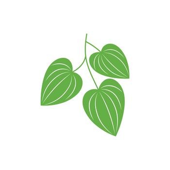 Betel leaf logo icon vector illustration