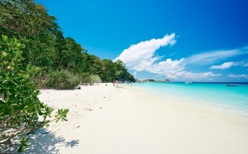 The Landscape of beach and ocean on a sunny day around Similan Islands, Thailand