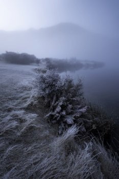 A magical frosty blue morning at Moke Lake in New Zealand.