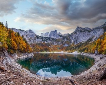 Tree stumps after deforestation near Hinterer Gosausee lake, Upper Austria. Colorful autumn alpine mountain lake  view with clear transparent water and reflections. Dachstein summit and glacier in far