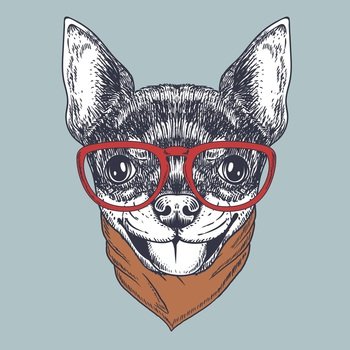 Chihuahua dog hand drawn wearing a red glasses and bandana