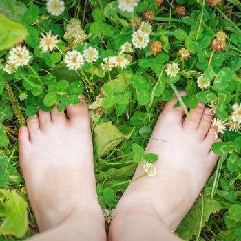 Top view of child barefoot on green grass clover in summer.. Baby feet barefoot on green grass