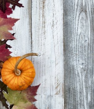 Autumn or fall maple and oak leaves plus pumpkin over white rustic wood background in vertical layout   