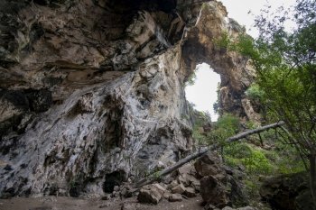 the Thao Kosa Natural Forest and Cave Park at Khao Kalok near the City of Hua Hin in the Province of Prachuap Khiri Khan in Thailand,  Thailand, Hua Hin, December, 2022. THAILAND PRACHUAP HUA HIN KHAO KALOK THAO KOSA