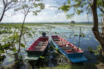 a Tour Wood Boat in the Landscape of the Lotus Swamp Sam Roi Yot near the Village of Kui Buri at the Hat Sam Roi Yot in the Province of Prachuap Khiri Khan in Thailand,  Thailand, Hua Hin, November, 2022. THAILAND PRACHUAP SAM ROI YOT LOTUS LAKE