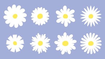 Flat daisy set. Chamomile meadow white flowers icons. Daisies floral collection with various petals. Retro groovy trendy isolated vector botanical clipart. Illustration of flower white daisy meadow. Flat daisy set. Chamomile meadow white flowers icons. Daisies floral collection with various petals. Retro groovy trendy isolated vector botanical clipart