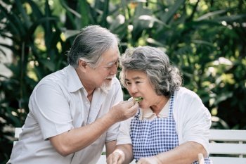 Elderly couples Cooking Healthy food together