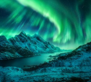 Aurora borealis over the snowy mountains, sea coast at night in Lofoten, Norway. Aurora borealis above snow covered rocks. Winter landscape with polar lights and fjord. Starry sky with bright aurora