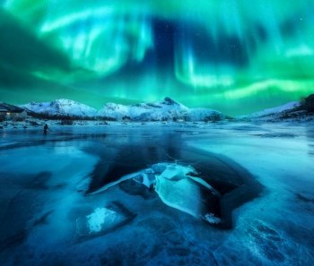 Northern lights over snowy mountains, frozen sea coast and reflection in water in Lofoten islands, Norway. Aurora borealis. Winter landscape with polar lights, ice in water. Starry sky with aurora