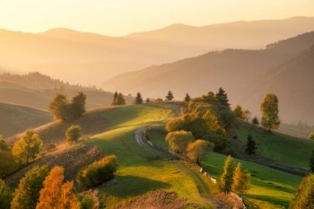 Carpathian mountain valley with beautiful hills in haze, orange trees at sunset in autumn in Ukraine. Colorful landscape with dirt road, meadows, forest, green grass, golden sunlight in fall. Nature