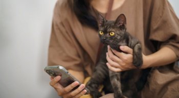 Cat lover female hand petting her lovely cat  comfortable Stay home with cat Friendship Animal lover. Cute cat. love Friend human home friendship Animal lover lifestyle