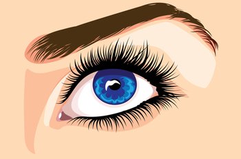 Detailed female eye of blue color, long eyelashes and eyebrows illustration.