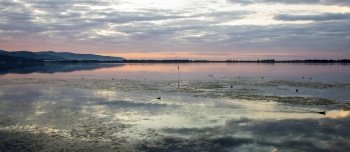 landscape of Orbetello Lagoon at sunset,  the most important lagoon of the Tiyrrhenian sea and natural reserve in the Grosseto province, Tuscany, Italy