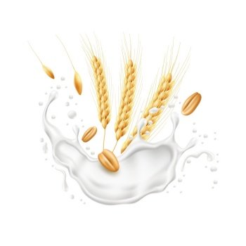 Realistic wheat ears with milk splash. Agricultural culture, spikelets and grains, flying splashes and drops of yogurt, flakes with cream. Healthy food, packaging design element utter vector concept. Realistic wheat ears with milk splash. Agricultural culture, spikelets and grains, flying splashes and drops of yogurt, flakes with cream. Healthy food, packaging design utter vector concept