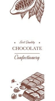 Cocoa and chocolate banner. Sweet product and plant with leaves. Sketch style drawing, vertical poster, confectionery snack wrapping paper design, vector isolated on white background illustration. Cocoa and chocolate banner. Sweet product and plant with leaves. Sketch style drawing, vertical poster, confectionery snack wrapping paper design, vector isolated illustration