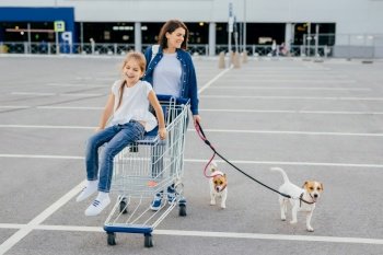 Outdoor shot of happy mother and her little daughter walk with dogs on leash, carry cart, return from shopping mall, have free time during day off. Family, pets and making purchases concept.