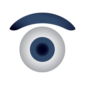 Vector Eye Icon with eyebrow on white background. Vector Eye Icon