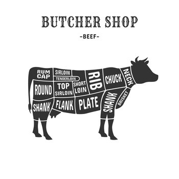 Cow cuts scheme. Cutting beef meat guide placard for butchers, animal cut diagram chart plate brisket, vintage american poster butcher shop steak or rib, exact vector illustration. Cow guide cut. Cow cuts scheme. Cutting beef meat guide placard for butchers, animal cut diagram chart plate brisket, vintage american poster butcher shop steak or rib, exact vector illustration