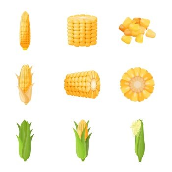 Corn icons set cartoon vector. Cereal plant. Grain food field. Corn icons set cartoon vector. Cereal plant