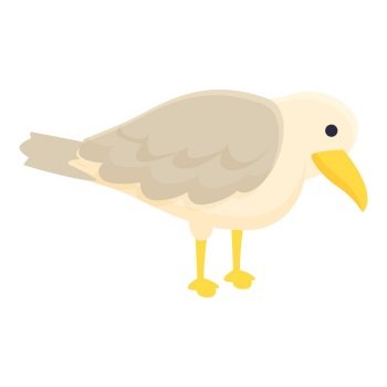 Seagull search food icon cartoon vector. Marine bird. Cute bird. Seagull search food icon cartoon vector. Marine bird
