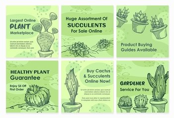 Social media template post set with cactus sale. Buy home plant online, network page collection, vector illustration. Hand drawn succulent, plant at gardening store web page. Social media template post set with cactus sale
