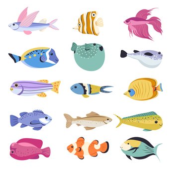Aquarium or tropical fish types, isolated kinds of species living underwater. Marine animals and creatures with fins. Angelfish and guppy, clownfish and goldfish, nano and betta. Vector in flat style. Fish types for aquarium, tropical species vector