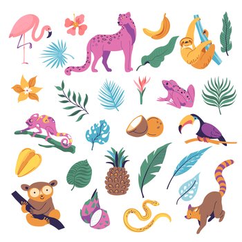 Wilderness and tropical flora and fauna, animals and botany. Isolated monstera leaves and pineapple, koala sitting on tree branch and flamingo, road and lizards, sloths. Vector in flat style. Tropic botany and animals, wilderness vectors