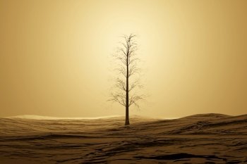 A lonely dead tree in a desert. 3d illustration