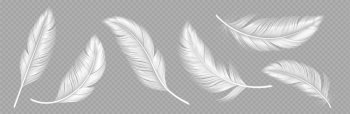 White soft feathers isolated on transparent background. Down or plume from wings of birds or angel, symbol of softness and purity. Realistic design elements, 3d vector illustration, icons set. White soft feathers on transparent background