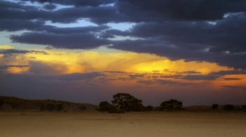 Sunset with cloud in desert of Kgalagadi transfrontier park, South Africa; specie family of. Sunset in Kgalagadi transfrontier park, South Africa