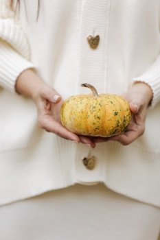 Unrecognisable woman wearing warm wool white sweater in classic style holding in hands a small decorative dwarf orange, yellow pumpkin. Halloween or thanksgiving celebration. Unrecognisable woman wearing warm wool white sweater in classic style holding in hands a small decorative dwarf orange, yellow pumpkin. Halloween or thanksgiving celebration.