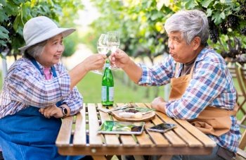 Portrait of senior winemaker holding in his hand a glass of new white wine. Smiling happy elderly couple enjoying a picnic together in own vineyard. Agricultural concept, Small business, retirement