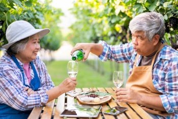 Portrait of senior winemaker holding in his hand a glass of new white wine. Smiling happy elderly couple enjoying a picnic together in own vineyard. Agricultural concept, Small business, retirement