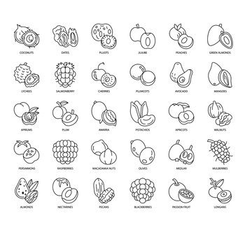 Set of Stone Fruit thin line icons for any web and app project.