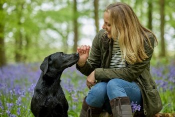 Mature Woman With Loving Black Labrador Dog On Spring Walk Through Bluebells In Countryside