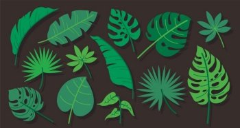 Tropical leaves elements vector illustration