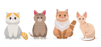cat cartoon. pet characters illustration