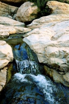 Streams and waterfalls Nature Reserve Ein Gedi at the Dead Sea in Israel. Streams and waterfalls Nature Reserve Ein Gedi