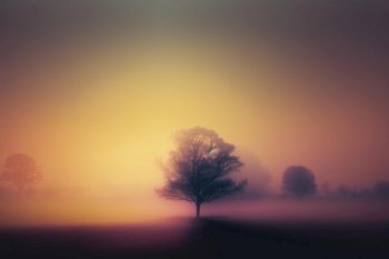 Tranquil minimal landscape in foggy morning scene. superlative generative AI image.. Tranquil minimal landscape in foggy morning scene
