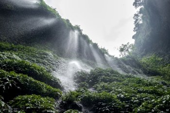 Madakaripura waterfall East Java,IndonesiaIndonesia