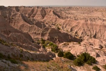 Sparse trees growing in a sandstone valley in the badlands.