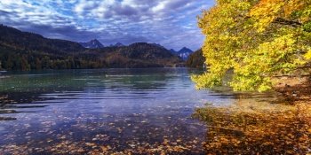 Alpsee Lake, Mountains and Forest,  Bavarian Alps, Hohenschwangau, Fussen, Ostallgau, Bavaria, Germany, Europe