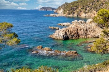 Nature in all its splendor: an experience for the senses. Costa Brava, near small town Palamos, Spain