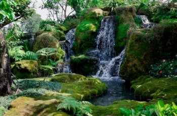 green forest and waterfall