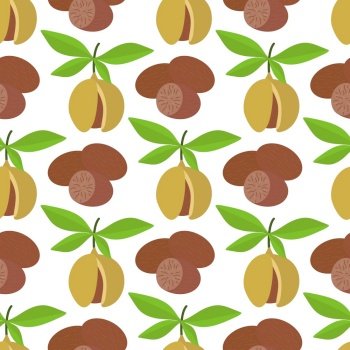 Nutmeg seamless pattern. Hand drawn nuts and foliage background. Print for textile, packaging, digital paper, vector illustration. Nutmeg seamless pattern