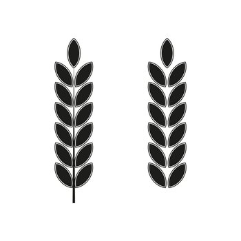 Spikelets icons for packaging design. Agriculture background. Vector illustration. EPS 10.. Spikelets icons for packaging design. Agriculture background. Vector illustration.